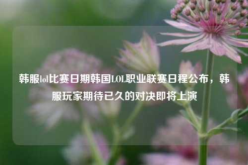 韩服lol比赛日期韩国LOL职业联赛日程公布，韩服玩家期待已久的对决即将上演