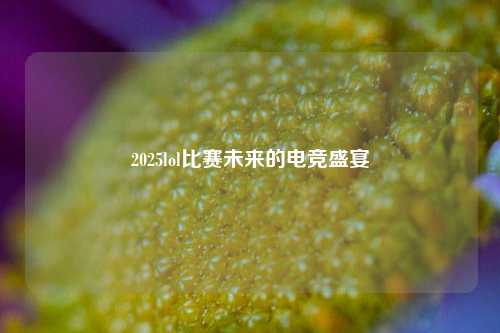 2025lol比赛未来的电竞盛宴