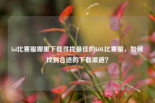 lol比赛服哪里下载寻找最佳的LOL比赛服，如何找到合适的下载渠道？