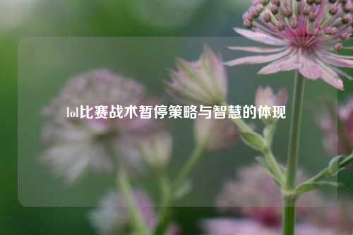 lol比赛战术暂停策略与智慧的体现