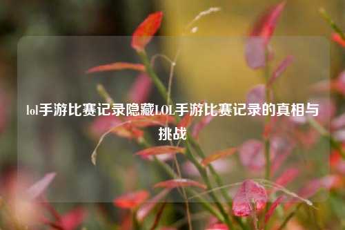 lol手游比赛记录隐藏LOL手游比赛记录的真相与挑战