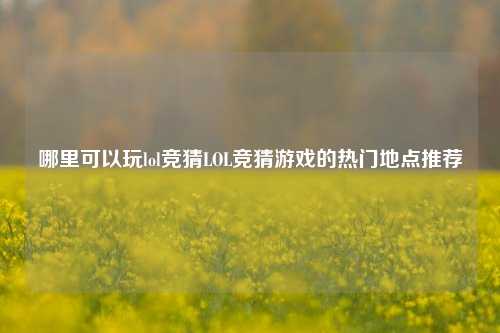 哪里可以玩lol竞猜LOL竞猜游戏的热门地点推荐