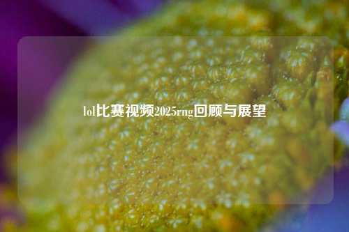 lol比赛视频2025rng回顾与展望