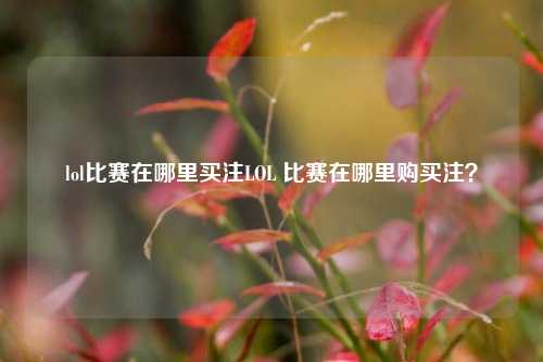lol比赛在哪里买注LOL 比赛在哪里购买注？