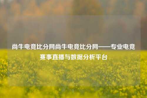 尚牛电竞比分网尚牛电竞比分网——专业电竞赛事直播与数据分析平台
