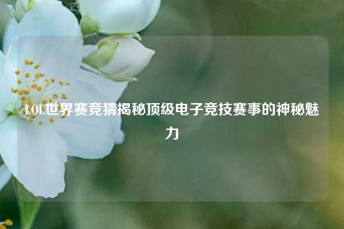 LOL世界赛竞猜揭秘顶级电子竞技赛事的神秘魅力
