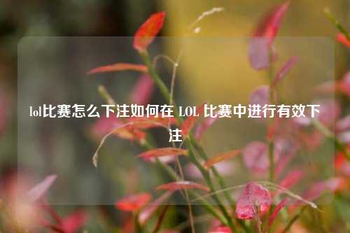 lol比赛怎么下注如何在 LOL 比赛中进行有效下注