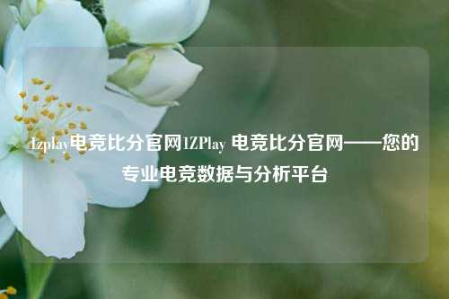 1zplay电竞比分官网1ZPlay 电竞比分官网——您的专业电竞数据与分析平台