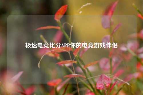 极速电竞比分APP你的电竞游戏伴侣