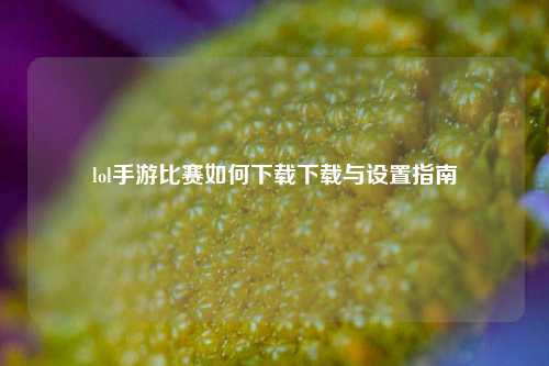 lol手游比赛如何下载下载与设置指南