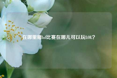 在哪里赌lol比赛在哪儿可以玩LOL？
