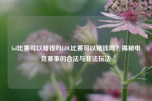 lol比赛可以赌钱吗LOL比赛可以赌钱吗？揭秘电竞赛事的合法与非法玩法