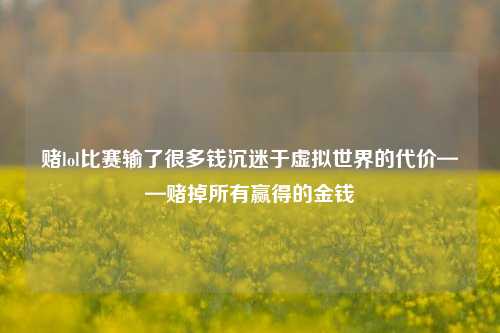 赌lol比赛输了很多钱沉迷于虚拟世界的代价——赌掉所有赢得的金钱