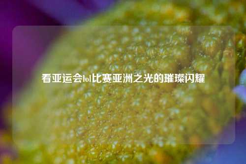 看亚运会lol比赛亚洲之光的璀璨闪耀