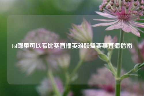 lol哪里可以看比赛直播英雄联盟赛事直播指南