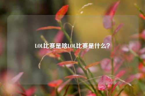 LOL比赛是啥LOL比赛是什么？