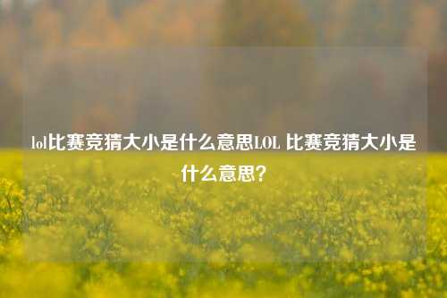 lol比赛竞猜大小是什么意思LOL 比赛竞猜大小是什么意思？