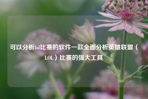 可以分析lol比赛的软件一款全面分析英雄联盟（LOL）比赛的强大工具