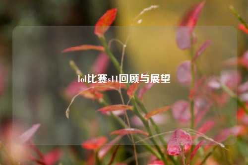 lol比赛s11回顾与展望