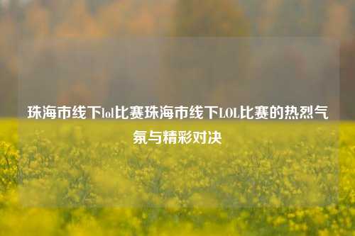 珠海市线下lol比赛珠海市线下LOL比赛的热烈气氛与精彩对决