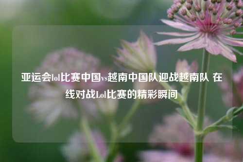 亚运会lol比赛中国vs越南中国队迎战越南队 在线对战Lol比赛的精彩瞬间