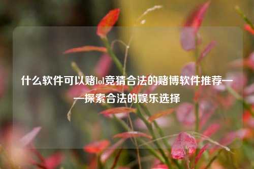 什么软件可以赌lol竞猜合法的赌博软件推荐——探索合法的娱乐选择