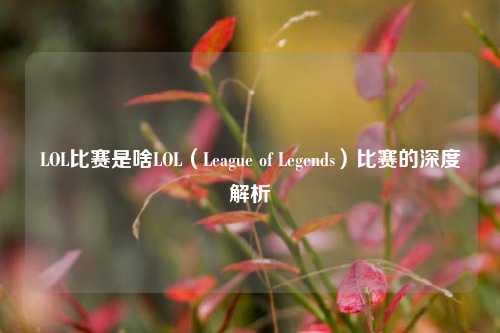 LOL比赛是啥LOL（League of Legends）比赛的深度解析