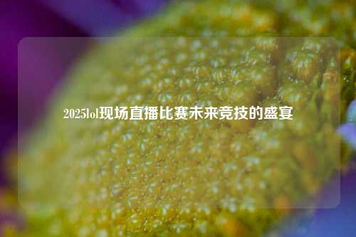 2025lol现场直播比赛未来竞技的盛宴