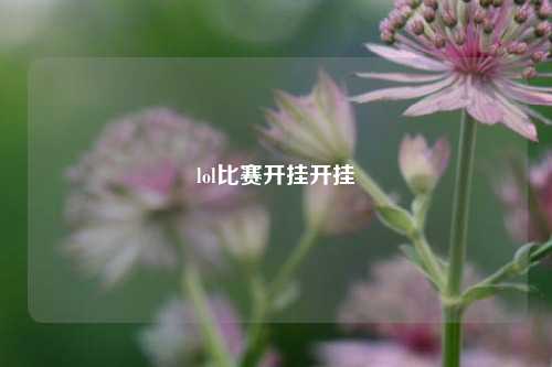 lol比赛开挂开挂
