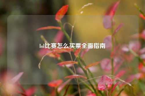 lol比赛怎么买票全面指南