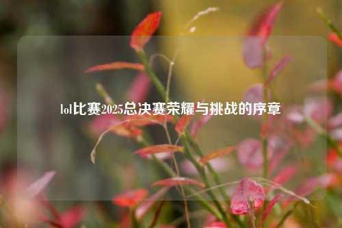 lol比赛2025总决赛荣耀与挑战的序章