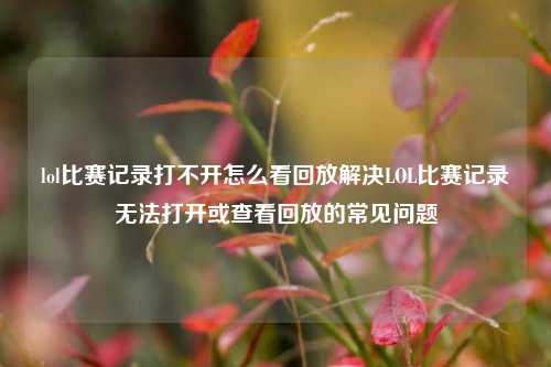 lol比赛记录打不开怎么看回放解决LOL比赛记录无法打开或查看回放的常见问题