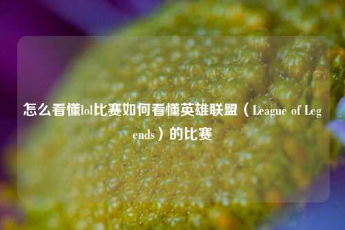 怎么看懂lol比赛如何看懂英雄联盟（League of Legends）的比赛