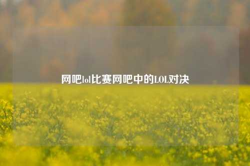 网吧lol比赛网吧中的LOL对决