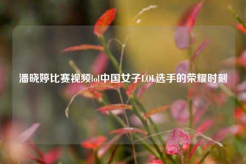 潘晓婷比赛视频lol中国女子LOL选手的荣耀时刻