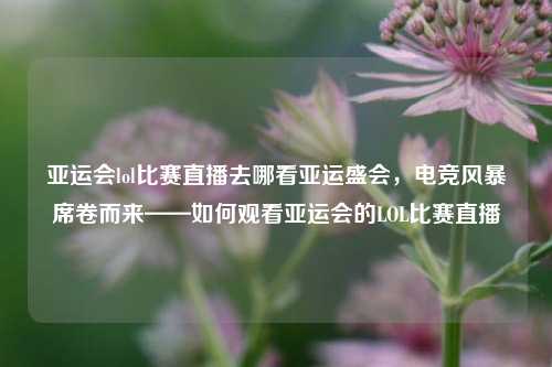 亚运会lol比赛直播去哪看亚运盛会，电竞风暴席卷而来——如何观看亚运会的LOL比赛直播
