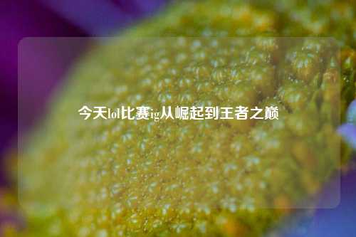 今天lol比赛ig从崛起到王者之巅
