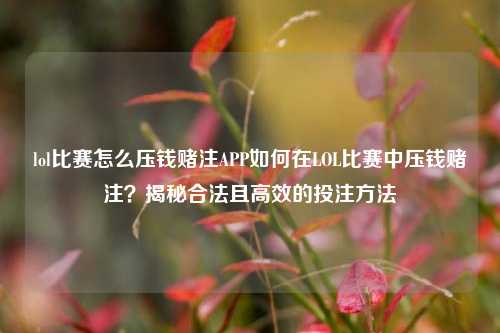 lol比赛怎么压钱赌注APP如何在LOL比赛中压钱赌注？揭秘合法且高效的投注方法