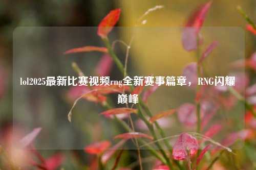 lol2025最新比赛视频rng全新赛事篇章，RNG闪耀巅峰