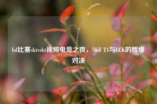 lol比赛sktvskt视频电竞之夜，SKT T1与LCK的辉煌对决