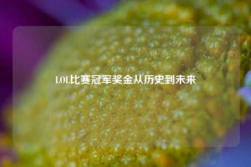 LOL比赛冠军奖金从历史到未来