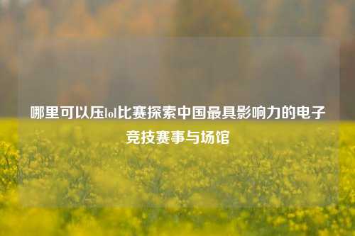哪里可以压lol比赛探索中国最具影响力的电子竞技赛事与场馆