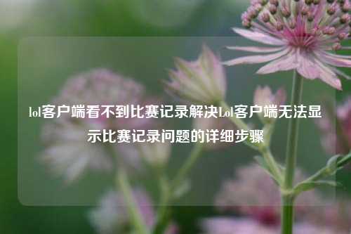 lol客户端看不到比赛记录解决Lol客户端无法显示比赛记录问题的详细步骤