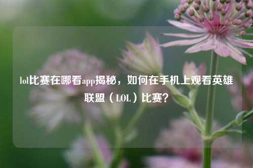 lol比赛在哪看app揭秘，如何在手机上观看英雄联盟（LOL）比赛？