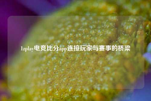 1zplay电竞比分app连接玩家与赛事的桥梁