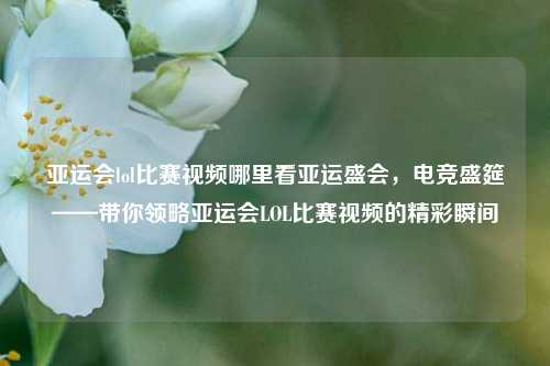 亚运会lol比赛视频哪里看亚运盛会，电竞盛筵——带你领略亚运会LOL比赛视频的精彩瞬间