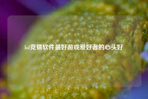 lol竞猜软件最好游戏爱好者的心头好