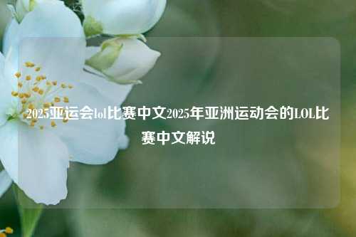 2025亚运会lol比赛中文2025年亚洲运动会的LOL比赛中文解说
