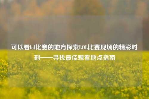 可以看lol比赛的地方探索LOL比赛现场的精彩时刻——寻找最佳观看地点指南