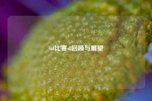 lol比赛s8回顾与展望